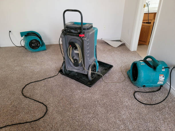 Best 24-hour water damage restoration  in The Hills, TX