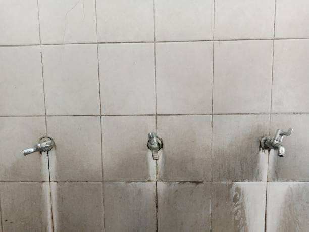Best Water damage cleanup near me  in The Hills, TX