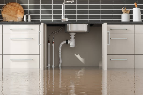 Best Water damage cleanup near me  in The Hills, TX